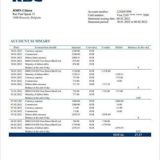Belgium KBC bank statement template in Word and PDF format download template file