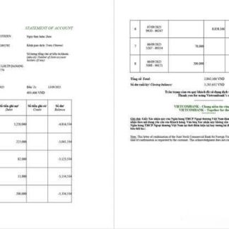 Vietnam Vietcombank statement of account Word and PDF template, 2 pages download template file