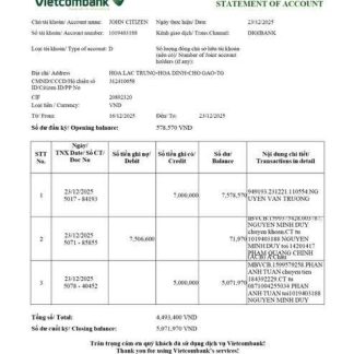 Vietnam Vietcombank statement of account Word and PDF template, version 2 download template file