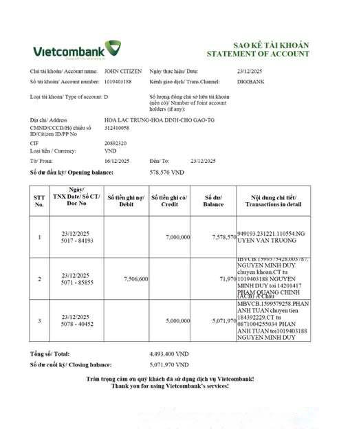 Vietnam Vietcombank statement of account Word and PDF template, version 2 download template file