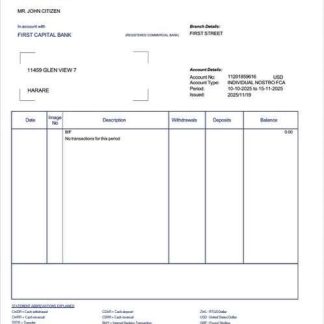 Zambia First Capital Bank account statement Word and PDF template download template file