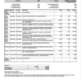 Zambia Zanaco Bank statement of account Word and PDF template download template file