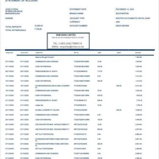 Zimbabwe NMB Bank statement of account Word and PDF template download template file