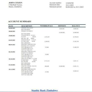 Zimbabwe Stanbic Bank statement download template file