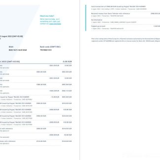Belgium Wise bank statement download template file