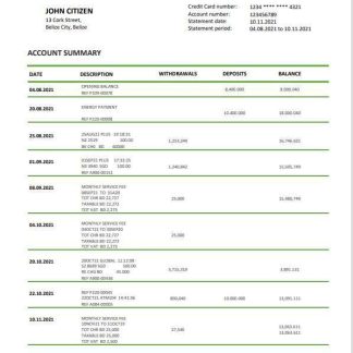 Belize bank statement template in Word and PDF format, fully editable download template file