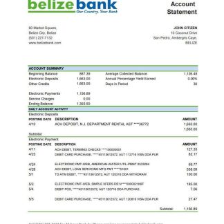 Belize Belizebank bank statement easy to fill template in .xls and .pdf file format download template file