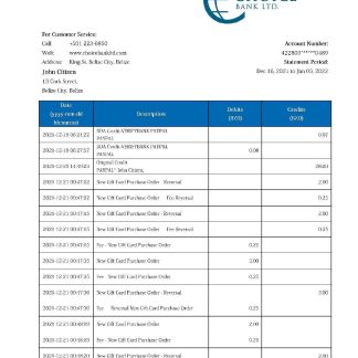 Belize Choice Bank statement download template file