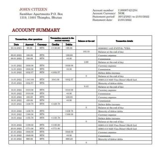 Bhutan Druk PNB bank statement download template file