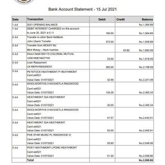Bhutan National Bank statement easy to fill template in Excel and PDF format download template file