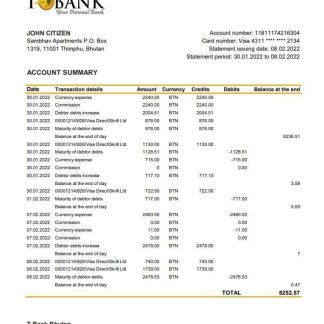 Bhutan T Bank Statement xls download template file