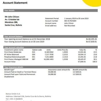 Bolivia Banco Union bank statement download template file