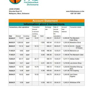 Botswana FNB of Botswana bank statement template in .xls and .pdf file format download template file