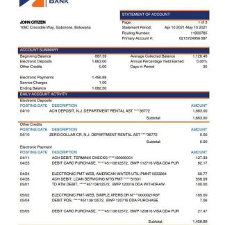 Botswana Savings Bank statement template, Word and PDF format download template file