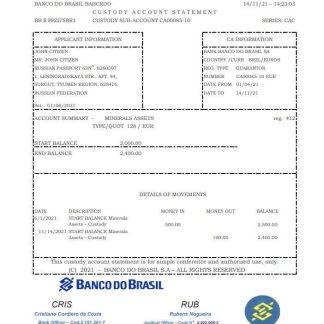 Brazil Banco do Brasil bank statement easy to fill template in Excel and PDF format download template file