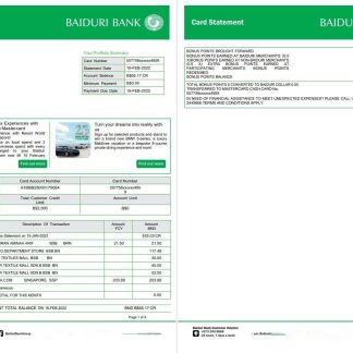 Brunei Baiduri bank card statement download template file