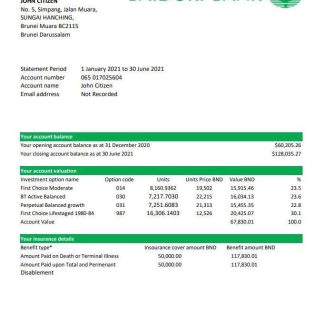 Brunei Baiduri bank statement easy to fill template in Excel and PDF format (AutoSum) download template file
