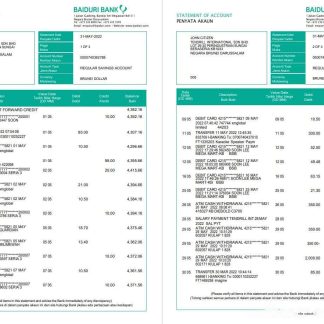 Brunei Baiduri bank statement, Word and PDF template, 3 pages download template file
