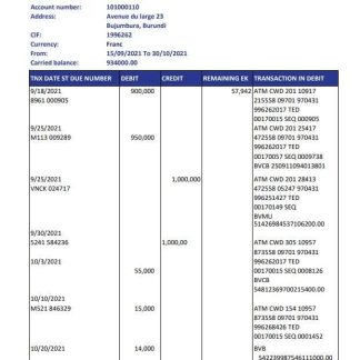 Burundi Credit Bank of Bujumbura.pdf download template file
