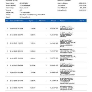 Cambodia PPCBank account statement Word and PDF template download template file