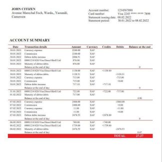 Cameroon Afriland First bank statement Word and PDF template download template file