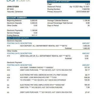 Cameroon BGFI bank statement easy to fill template in Excel and PDF format download template file