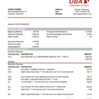 Cameroon UBA bank statement easy to fill template in Excel and PDF format download template file