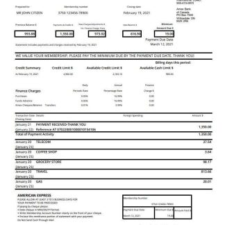 Canada American Express Air Miles Gold Credit Card excel pdf download template file