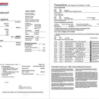 Canada CIBC Bank account statement Word and PDF template, 2 pages download template file
