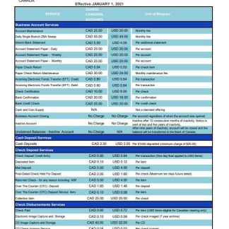 Canada JP Morgan Chase proof of address bank statement template in Excel and PDF format (AutoSum) download template file