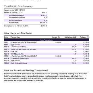 Canada KOHO Financial Incorporated statement template in Word and PDF formats download template file