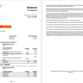 Canada Tangerine bank statement Word and PDF template download template file