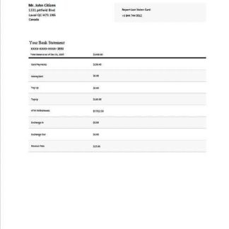 Canada Wise bank statement Word and PDF template download template file