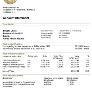 Central African Republic Bank of Central African States (BEAC) bank statement template download template file