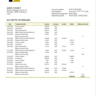 Chad Commercial Bank of Tchad bank statement template in Word and PDF format download template file