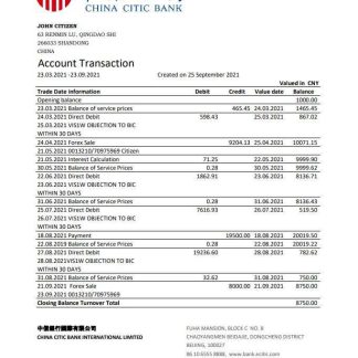 China Citic Bank Corp bank statement easy to fill template in Excel and PDF format download template file
