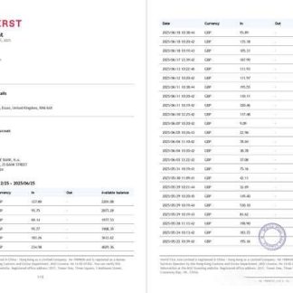 China Worldfirst account statement Word and PDF template, 2 pages download template file