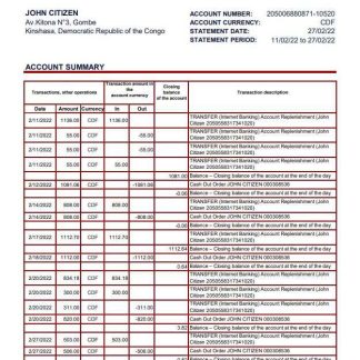 Congo Credit du Congo bank statement xls download template file