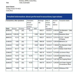 Costa Rica Banco Nacional bank statement easy to fill template in .xls and .pdf file format download template file