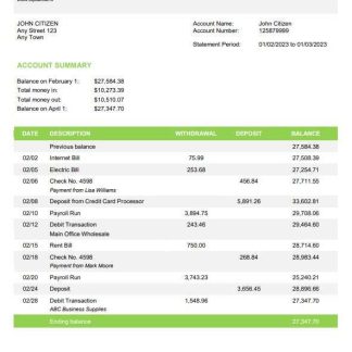 Croatia OTP bank statement template, Word and PDF format, version 2 download template file
