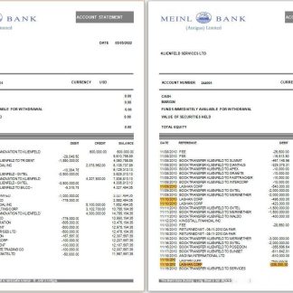 Antigua & Barbuda Meinl Bank statement Word and PDF template, 2 pages download template file