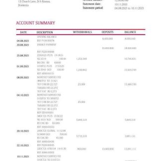 Dominica Barnett Capital bank statement template in Word and PDF format download template file