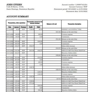 Dominican Republic Bid bank statement xls download template file
