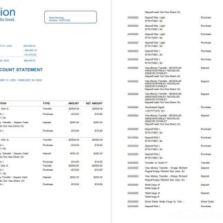 Egypt Aspiration bank statement download template file