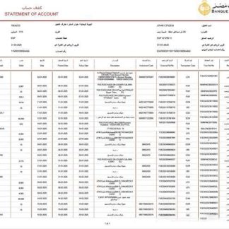 Egypt Banque Misr statement of account Word and PDF template download template file