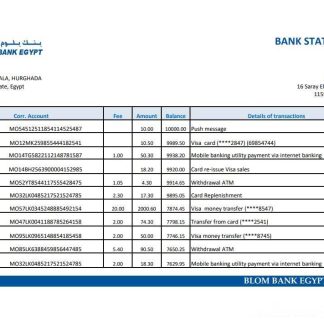 Egypt Blom Bank of Egypt bank statement easy to fill template in Excel and PDF format download template file