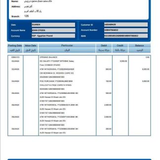 EGYPT CIB bank statement template, Word and PDF format download template file