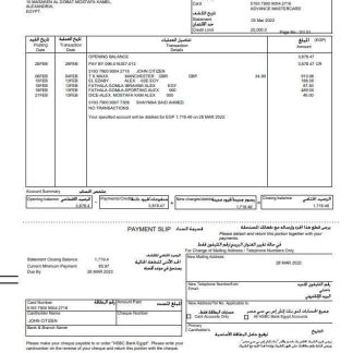 Egypt HSBC bank statement, Word and PDF template, version 2 download template file