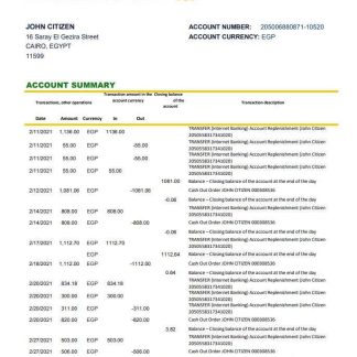 Egypt National Bank of Egypt bank statement easy to fill template in Excel and PDF format download template file