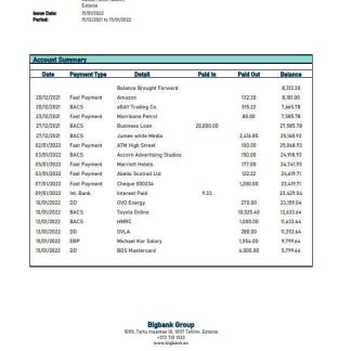 Estonia Bigbank bank statement template, Word and PDF format download template file